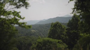 7.8K views · 84 reactions | Natural Bridge State Park showcases the...