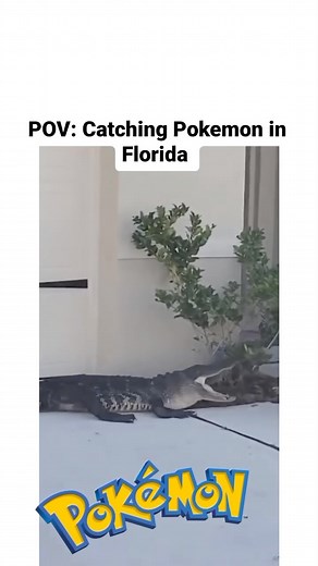 Mo L on Instagram: "Catching Pokémon in Florida is not joke 😂 (Share this with a Pokémon fan) 🙏 Follow for daily funny Pokémon content 👍🏻 ⚡️ ⚡️ ⚡️ #tradingcards #pokemonsunandmoon #pokemonfanart #art #pokemontradingcardgame #pokemoncardsforsale #pocketmonsters #pokemonmemes #cards #tcgpokemon #pokemontradingcards #blastoise #mewtwo #collection #wizardsofthecoast #shiny #baseset #collector #pokemonswordandshield #vintagepokemon #pokemonxy #hiddenfates #eevee #pokefan #pokemonartwork #gamer #p