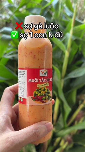 Muối chấm ớt đỏ #xuhuong #sotmuoitacotdo #sotchammuoitacotdo