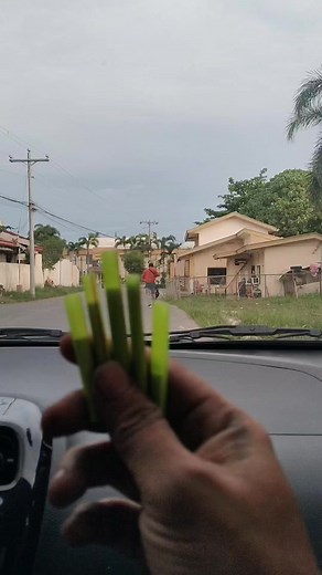 59K views · 789 reactions | EMARS WAVE POOL ATAK NA MGA BOSSING SA NAKA TUOD LANG NInong tv.2 | NInong tv.2 | Facebook