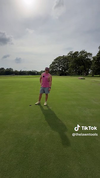 Lawn Renovation Tips from a Dad with Passion