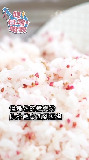讓桃園的紅藜農教您如何把紅藜飯煮得好看，好吃又營養。feat. 高個子禾穀 吳振揚 at 桃園。國內外的紅藜大不同，台灣的農業實力不得小覷。 | 聽！台灣在唱歌