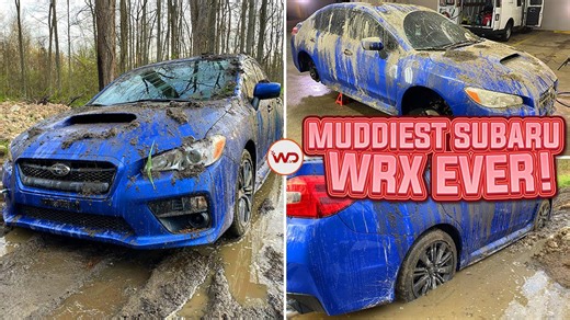 Deep cleaning the muddiest Subaru WRX for full disaster detail