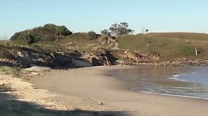 By now you've probably seen this adorable footage of a kangaroo hopping peacefully down an Aussie beach. But were you aware of the hidden beach in another part of Australia where roos' rule the land? READ MORE: http://trib.al/XbJHAym Escape.com.au (Video: Kelly Beckwith via Storyful) | Herald Sun