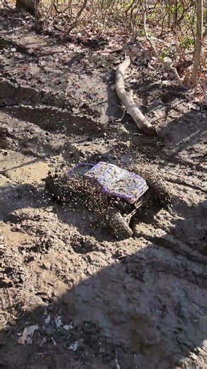 vortex in the mud #rctrailtrucks #redcat #rccar #mudtrucks