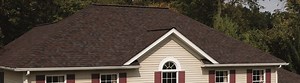 How to Pick the Right Roof Color for Your Home