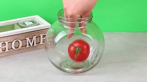 Techniques astucieuses pour la conservation des aliments