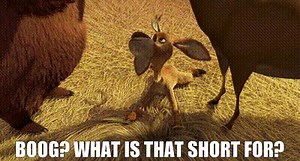 Boog? What is that short for?