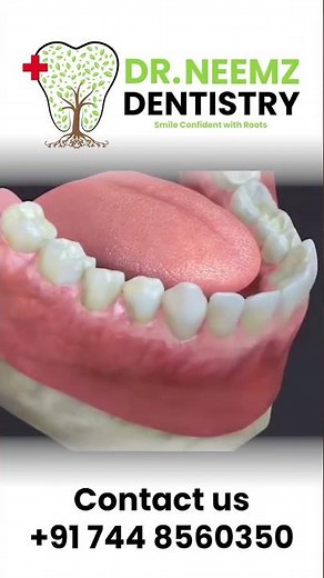 How to Brush Properly | 3D Animation for Effective Oral Hygiene