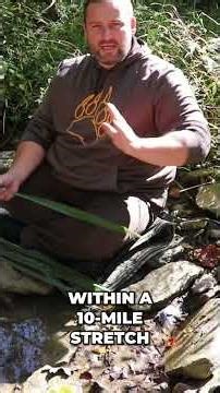 Unlock Natural Suds: Finding Yucca for Soap Making #shorts