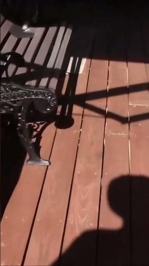 Portable Paradise: Exploring the Removable RV Deck Extension! 🚐🛖 | Camper Innovation