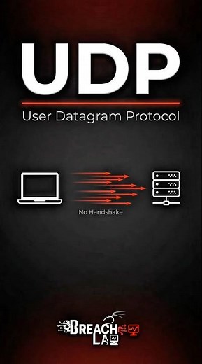 How UDP really works #breachlab #osimodel #udp #cybersecurity