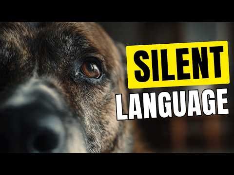 HOW DOGS Communicate WITHOUT SOUND