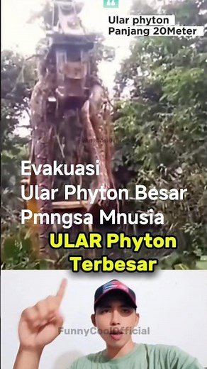 Deadly predator snake #shorts