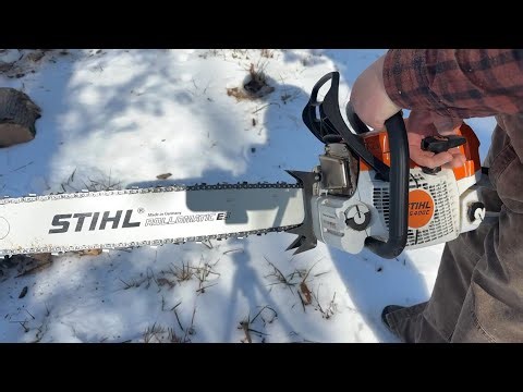 Tree go boom! 💥 Dropping a dead white oak with my STIHL MS400C with Bark Box
