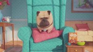 Is your pet a star? To celebrate the release of The Secret Life Of Pets, we’ve partnered with Sunrise to give one lucky Aussie pet the chance to be ANIMATED and featured in the film’s sequel! Find out how you can win here: http://po.st/SecretLifeOfMyPet #SecretLifeOfMyPet | The Secret Life Of Pets