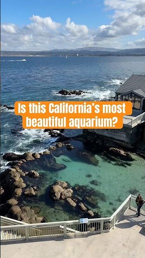 Inside Monterey's Most Famous Aquarium #shorts