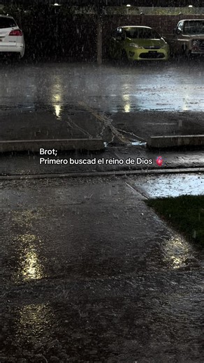 Primero Buscad el reino de Dios y su justicia 🫀✅✝️ | bernd das brot