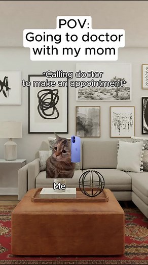 Funny Cat Memes at the Doctor with My Mom