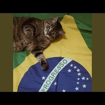 TACA TUDO - SLOWED
