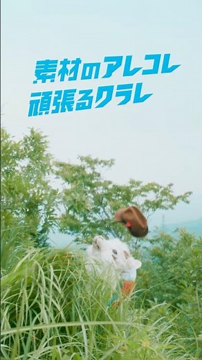 広報担当クラレちゃん エピソード６「ベクトラン」篇 30秒 ショート動画