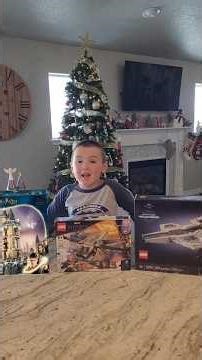 LEGO Family Build Night! 👨‍👩‍👦Owlery(76430) | BP Dragon Flyer (76186) | Avengers Helicarrier (76295)