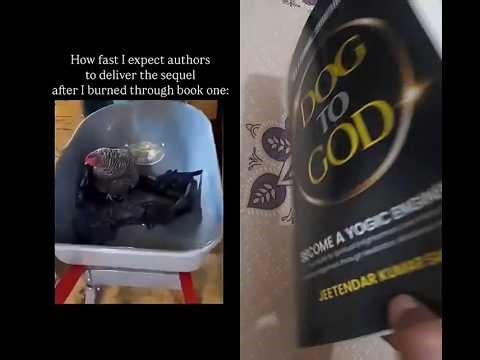 Need new book | #funny #chicken #booktube #booktok