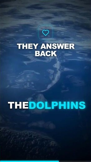 Google's AI Is Learning to Talk to Dolphins 🐬