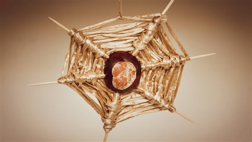 Do Conkers Keep Spiders Away? Please, Eight Legs Can Handle A Seed