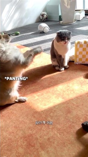 When It's That Time Of The Month 👀