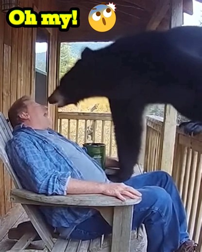 Bear! Oh my god! 😱 | Oh Crap