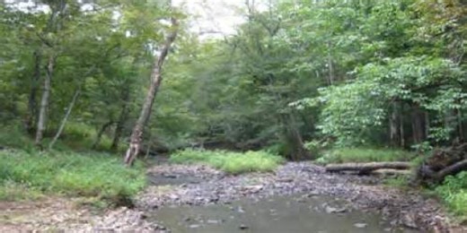 Shawnee National Forest hiring seasonal employees