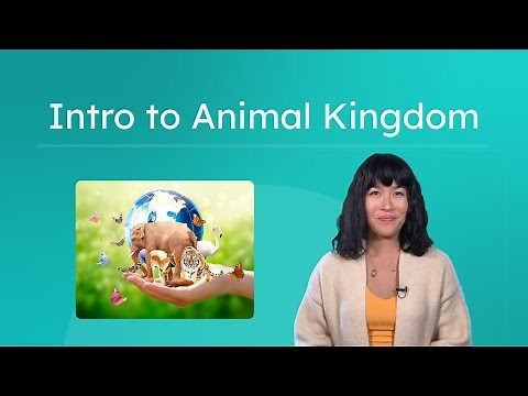 Intro to Animal Kingdom - Exploring Animal Diversity