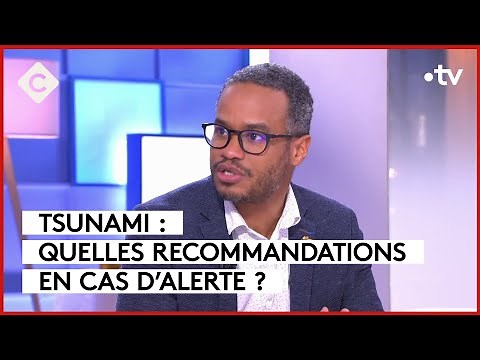 Tsunami: A real risk in the Mediterranean? - C à Vous - 19/01/2024