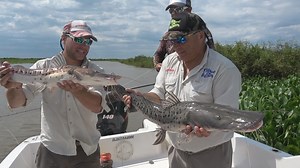 En menos de 4 minutos pica... | Tiempo De Pesca
