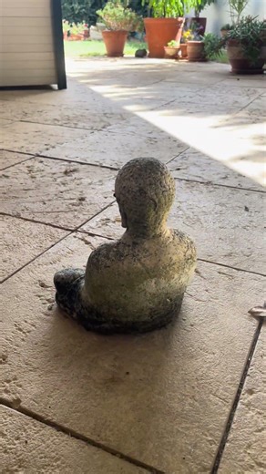 Garden Buddha Raw Footage