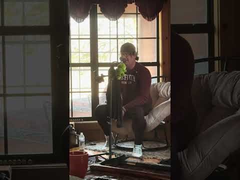 David Allen Coe Ride Cover *Cole Eller Music