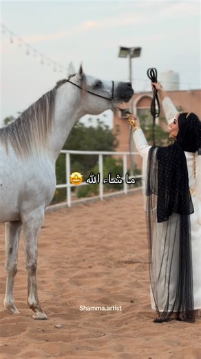 Shamma Alnaqbi on Instagram‎: "شفت لي خيل تصافح خد خيل 🐎 @salama9.9"‎