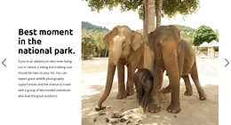 Best view in national park - Html Code Example by Nicepage