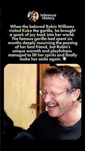 Robin Williams Meets Koko