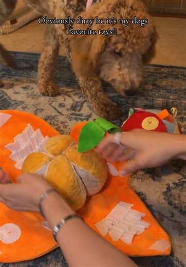 Pawaboo Official: Top Interactive Dog Toys