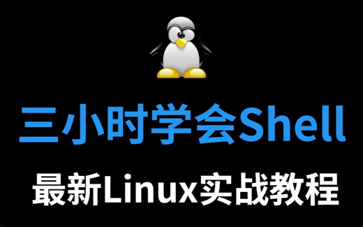 3小学会Shell 从入门到入狱 超详细通俗易懂