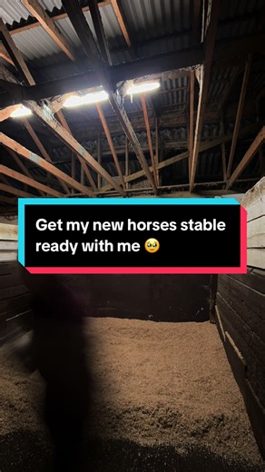 Setting Up a New Horse Stable for Arrival