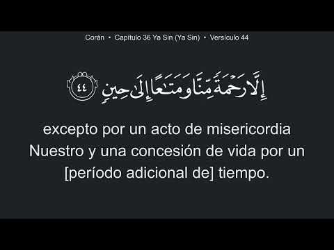 Coran 36 Capítulo Yasin Ya Sin Español Quran
