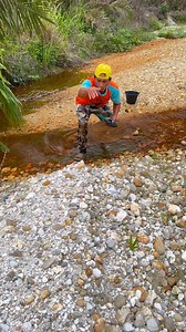 14K views · 91 reactions | looking for gold grains embedded in the river flow when the water starts to dry up #goldhunter #goldnugget #lookingforgold #goldtrading #PUREGOLD #goldtreasure #hiking #golddiscovery #goldprospecting | Afrizul Izul | Facebook