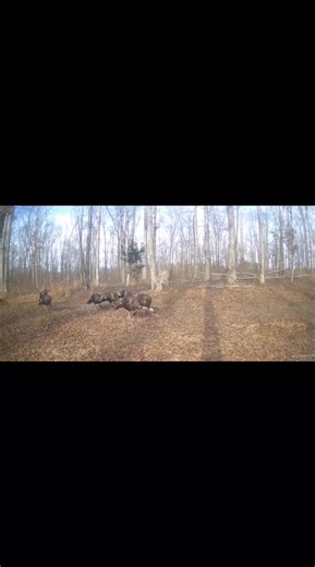 Shopkeep (@toorarified)’s videos with original sound - Shopkeep