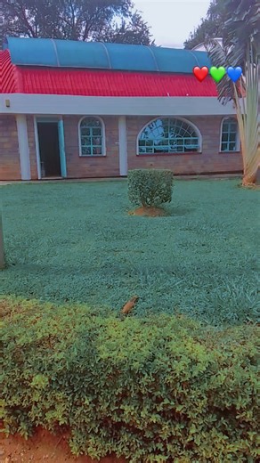 MMUST Gossip and Trends: Latest Updates and Insights