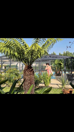 Quatre années de vie, de rencontres, de liens tissés au fil des saisons. Quand nous avons ouvert le Camping Aux Portes de Paimpol, nous ne savions pas encore que ce lieu deviendrait bien plus qu’un simple camping… C’est grâce à vous que l’histoire a pris forme. Grâce à vos sourires du matin, aux enfants qui courent dans les allées, aux apéros improvisés entre voisins, à la bienveillance que vous avez semée ici, été après été. ❤️ Vous avez donné une âme à cet endroit. Vos souvenirs, vos rires, vo
