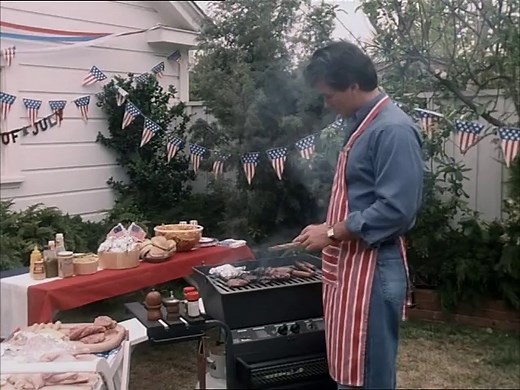 Danielle Steel - Apu