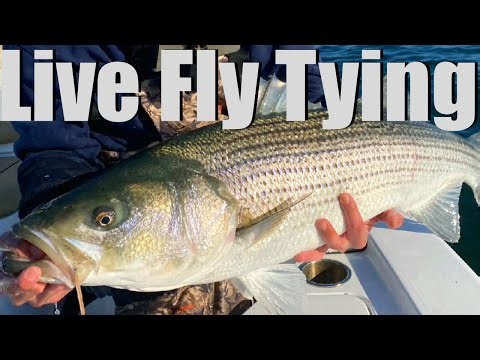 Live Fly Tying- Tying Saltwater Flies & Chatting